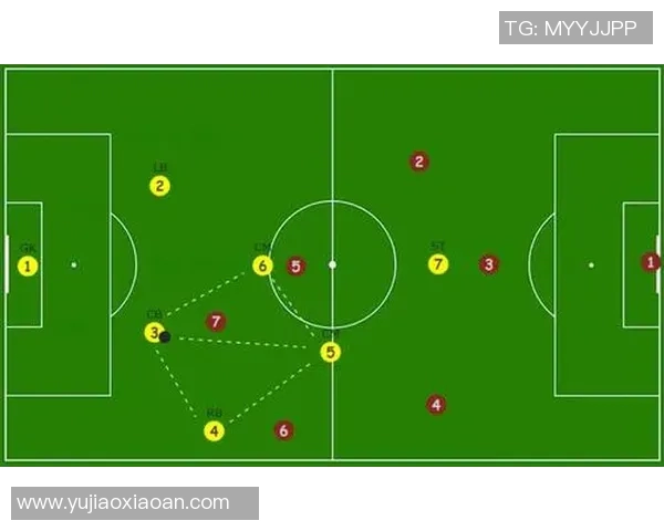 深圳排球队区域防守策略解析与战术创新探讨